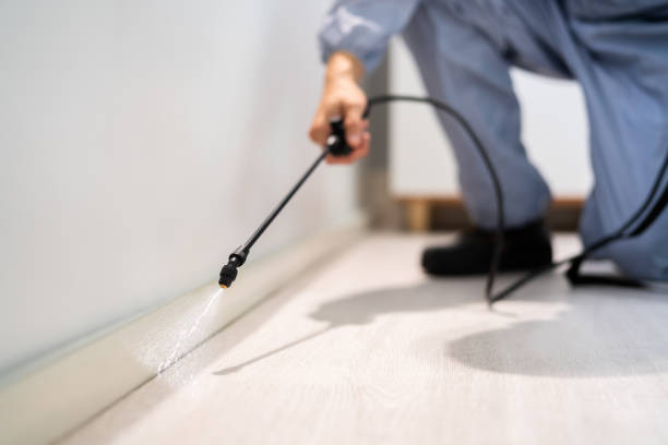Licensed Mosquito Control service in Hollins, VA - Show Me Pest Control