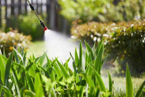24/7 Emergency Mosquito Control experts in Hollins, VA