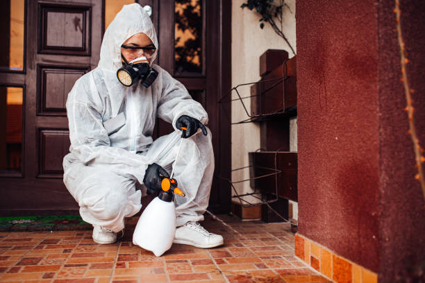 Reliable Mosquito Control contractor in Hollins, VA by Show Me Pest Control